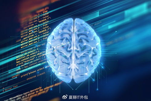 軟件開發(fā)公司的AI魔法 解鎖無限可能的軟件外包服務新紀元